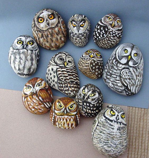 Piedras Pintades a Mano Koleksiyonculuğu baykuşlar