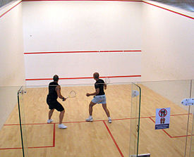 squash sporu